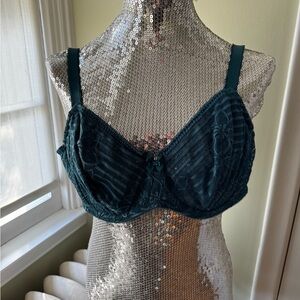 Wacoal Deep Teal Lace Bra 36DDD